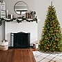 National Tree Company 6.5' Pre-Lit North Valley Spruce Artificial Christmas Tree (NRV7-301-65)~#|#~B28E00B1-63CD-4955-BFF1C322E52BA050_sc7