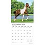 2026 Plato Magnificent Horses 12" x 12" Monthly Wall Calendar (9798330706846)~#|#~B3C88B7C-3EA9-4D85-A60A6F09A244E2D3_sc7