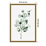 Amanti Art Tender Sprout II (Eucalyptus) by Eva Watts Framed Canvas Wall Art Print, 16" x 23" (A42675040761)~#|#~B45FA104-466F-4F99-B47C786D3B69C414_sc7