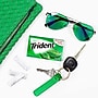 Trident Sugar Free Spearmint Gum, 14 Pieces/Pack, 12/Packs (VAM05017)~#|#~B4F4FB47-E4F5-4666-8D9C79EC19ED3A9A_sc7