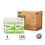 Perk Eco All Purpose Cleaner Refills, Ready To Use, 1 Gallon, 4/Carton (PK641001-ACT)~#|#~B4FC3F9E-B3E0-4AA6-B3B20C18E599E2D4_sc7