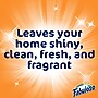 Fabuloso Antibacterial Multi-Purpose Cleaner, Lavender Scent, 169 Fl. Oz. (61018224)~#|#~B5148BE5-3D59-4EF9-AD1913C307BC28F2_sc7