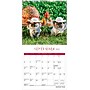 2026 BrownTrout Fantasy Pugs 7" x 7" Monthly Wall Calendar (9798330701858)~#|#~B53A1423-21A8-4A79-88008C234CE7175C_sc7