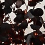 Nearly Natural Pre-Lit Artificial Halloween Black Eucalyptus Tree, 6' (T5223)~#|#~B5737551-A283-4534-944F2403AEAE3D1F_sc7