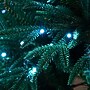 Nearly Natural 6' Pre-Lit Artificial Edmonton Fir Light Show Memory Shape Christmas Tree (T4785)~#|#~B6A6C808-E56F-4E00-AE1C6FA20D6B7F52_sc7