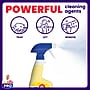 Mr. Clean PRO Commercial All Surface Cleaner Spray, 32 oz. (24349)~#|#~B7EA62B3-A330-42E1-99FA24276C405732_sc7