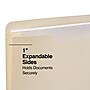 Staples File Jacket, 1" Expansion, Letter Size, Manila, 50/Carton (TR541092)~#|#~B7ECAE9E-6428-4646-93B302DAF20A7F62_sc7