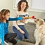 Learning Resources Brightkins Pooch School Training Set (LER9363)~#|#~B8525D0E-B80F-4D5B-ADDACDBB436ECD2A_sc7
