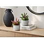 Monarch Specialties Inc. 9" Artificial Succulent Plant in Pot, 2/Set (I 9366)~#|#~B874A7CA-19E8-4A5D-A49AD26CBEB54C8A_sc7