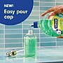 Softsoap Antibacterial Liquid Hand Soap Refill, Fresh Citrus Scent, 50 oz.(61048193)~#|#~B87AC432-F963-4C2E-9435A32F62B12A7F_sc7