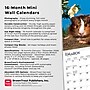 2026 BrownTrout Guinea Pigs 7" x 7" Monthly Wall Calendar (9798330703562)~#|#~B899894A-7CEC-4C0C-AD1C30B128FC2871_sc7