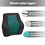 Mind Reader Memory Foam Ergonomic Lower Back Cushion Posture Corrector, Black/Blue (MEMCUSHGL-BLK)~#|#~B8C75603-A1A6-432D-80B993A0754143A0_sc7