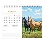 2026 BrownTrout Horse Lovers 7.5" x 6" Monthly Desk Calendar (9798330703685)~#|#~B909BD8E-1BB8-4540-BD0117696125AE12_sc7
