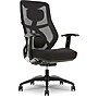 Beautyrest Duo-EX Ergonomic Mesh Swivel Task Chair, Black/Gray (60051GRY)~#|#~B90FBC0B-F8BB-484F-9FE05C736AC69A9A_sc7