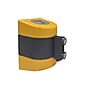 WallPro Magnetic 400 Wall-Mountable 15' Retractable Belt Barrier, Yellow/Black (WPM400Y-YB15)~#|#~B9643BF1-EC8F-4BA1-B0B6CF00FDC6776E_sc7