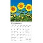2026 BrownTrout Sunflowers 7" x 7" Monthly Wall Calendar (9798330705689)~#|#~B967DF22-29EC-4202-97B8AF48C544BE1B_sc7