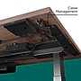 Workplace 2.0 55” Electric Standing Desk, Espresso/Gray Steel, Adjustable Height Sit-Stand Desk with Micro-Movement~#|#~B9A4935E-2E63-4984-A77A6B01945D6B22_sc7