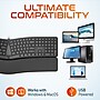 Delton KB250 Wired Ergonomic Keyboard with Cushioned Wrist Rest, USB-A, Black (DKBE250-U)~#|#~BA76B841-E5C5-4A85-AAA596AFAB9E02A8_sc7