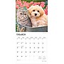 2026 BrownTrout Kittens & Puppies 12" x 12" Monthly Wall Calendar (9798330704101)~#|#~BB98160D-F7A1-463F-AEEF58293124D1F3_sc7