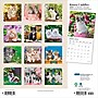 2026 Plato Kitten Cuddles 12" x 12" Monthly Wall Calendar (9798330706792)~#|#~BB9E38A1-B145-4A0C-8E5E9CF2FD996E7B_sc7