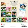 2026 BrownTrout Honey Bunny 12" x 12" Monthly Wall Calendar (9798330703654)~#|#~BBDB8522-0BEF-4D3B-B621165D1B1E27C7_sc7