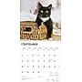 2026 BrownTrout Tuxedo Cats 12" x 12" Monthly Wall Calendar (9798330706068)~#|#~BCA2679F-A8D9-401F-93B99FB4578F0BAD_sc7