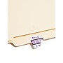 Smead BCCR Labels File Folder Label, Z, Lavender, 500 Labels/Pack (67096)~#|#~BCA3C044-4928-45FC-ADA4E7D955531725_sc7