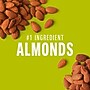 KIND Minis Gluten Free Nut Bar Variety Pack, 0.7 oz., 20 Bars/Box (PHW27964)~#|#~BCA72A4B-4725-4B7B-8D6B33E532A27264_sc7