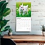 2026 BrownTrout Baby Goats 12" x 12" Monthly Wall Calendar (9798330702268)~#|#~BCB18EEF-63A2-4A23-845FB0ACD3D36EF4_sc7