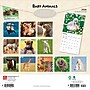 2026 BrownTrout Baby Animals 12" x 12" Monthly Wall Calendar (9798330702244)~#|#~BCC61D68-2157-44BA-A914845B92DE6E64_sc7