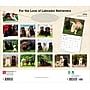 2026 BrownTrout For the Love of Labrador Retrievers 14" x 12" Monthly Wall Calendar (9798330707164)~#|#~BCDB7E0F-5214-4535-BFFF8083B887080A_sc7