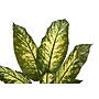 Monarch Specialties Inc. 47" Artificial Evergreen Tree in Pot (I 9535)~#|#~BCE2D03D-E2D8-41C1-A000E8DADC5D4101_sc7