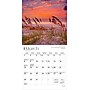 2026 BrownTrout America 7" x 7" Monthly Wall Calendar (9798330702060)~#|#~BD350817-B417-4117-9089C834F6B570B4_sc7