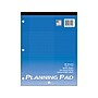 Roaring Spring Paper Products Planning Pad, 8.5" x 11", Graph-Ruled, Blue, 80 Sheets/Pad, 24 Pads/Carton (81156CS)~#|#~BD492D4F-D907-4FC4-80E4BE1DEAD84C5C_sc7
