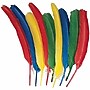Creativity Street Quill Feathers (PAC4503)~#|#~BDC1CDF9-CFD6-43B1-BE5042C0C76B09B3_sc7