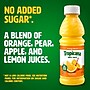 Tropicana Orange Blend 100% Juice, No Sugar Added, No Pulp, 10 oz., 24 Bottles/Pack (TRO00233)~#|#~BE9DD9D3-FA7F-4D38-A18FE1C0415655A4_sc7