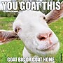 2027 Willow Creek You Goat This 12" x 12" Monthly Wall Calendar, Assorted Colors (63132)~#|#~BEA8DA5B-1AF4-403F-A7DDD2F209D8A1F2_sc7