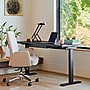 Branch Duo 48"W Electric Adjustable Standing Desk, Black Oak/Charcoal (10-10-05-73)~#|#~BF01D07D-88D6-4A03-B223BA8B2BC75F40_sc7