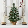 Nearly Natural Snow Tipped Pine and Berry Artificial Christmas Tree, 2' (T3326)~#|#~BF160646-8AFE-47F9-9C9CE487FC799EA7_sc7