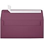 JAM Paper Self Seal #10 Booklet Envelope 4 1/8" x 9 1/2", Plum Purple, 50/Pack (LUX-4860-104-50)~#|#~BF658955-42FB-41F0-AA47962E9F13D4A4_sc7