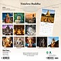 2026 Brush Dance Timeless Buddha 12" x 12" Monthly Wall Calendar (9798330706563)~#|#~BFBE0F6A-8099-4519-97F358909745EB10_sc7