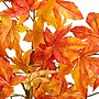 Nearly Natural 6' Autumn Deluxe Maple Artificial Fall Tree (T4745)~#|#~C0543B2E-10EF-488E-971F00ECBB82E3D8_sc7