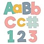 Carson Dellosa 4" We Belong Combo Pack EZ Letters and Numbers, Multicolored, 219/Pack, 2 Packs/Bundle (CD-130097-2)~#|#~C08A1341-4D5F-498A-9D228CDC9FED9C69_sc7