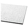 Armstrong FISSURED Square Lay-In Edge Ceiling Tile, 24" x 24", White, 16/Carton (BP756A)~#|#~C0D3B2E2-052F-4E55-85B62BB86DD74A36_sc7