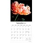 2026 Brush Dance In the Garden 12" x 12" Monthly Wall Calendar (9798330706525)~#|#~C0FC4755-52D4-44FA-BC0057A83BB1543A_sc7