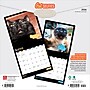 2026 BrownTrout Cat Selfies 12" x 12" Monthly Wall Calendar (9798330702794)~#|#~C1022291-5ED0-4664-AD45A3C63E6DE71D_sc7