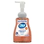 Dial Professional Antibacterial Defense with Aloe Foaming Hand Soap, Original Scent, 10 Fl. Oz., 8/Carton (1700035446)~#|#~C12D6403-F49B-4638-85893F2E160EBF26_sc7
