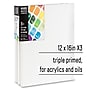 Liquitex BASICS Primed White Cotton Stretched Canvas, 12" x 16", 3/Pack (LIQ472012016)~#|#~C1433F9F-3DA2-4C61-9C5D92C3E55B2CCF_sc7
