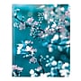 2027 Brownline Nature Cherry Blossoms 8.5" x 11" Weekly Appointment Book (CB950G.03)~#|#~C21CBD55-BAD2-4293-8F68405586DD70C4_sc7