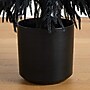 Nearly Natural Artificial Halloween Real Touch Black Norfolk Pine Christmas Tree, 6' (T5244)~#|#~C25148FB-9665-4FCC-8BD20C4A35B067CB_sc7